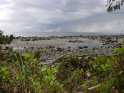 View Additional Images