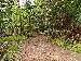 1163 Tennyson Road