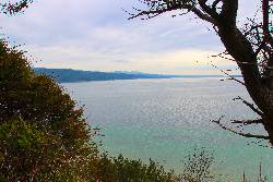 View Additional Images