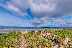 View Additional Images