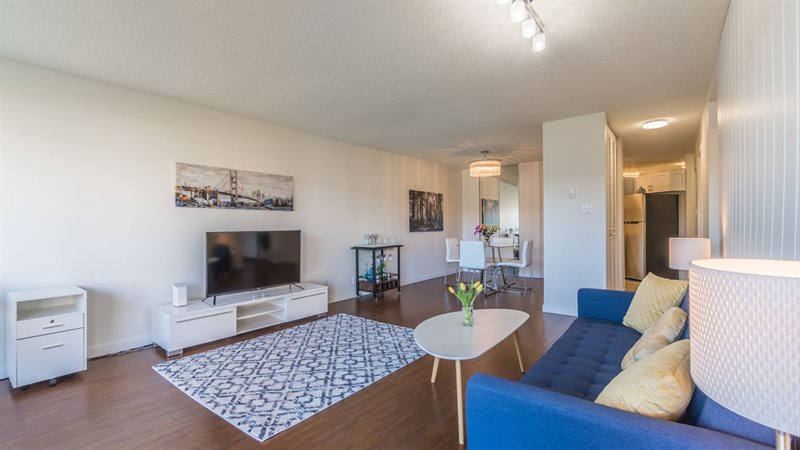 Living | Dining Room