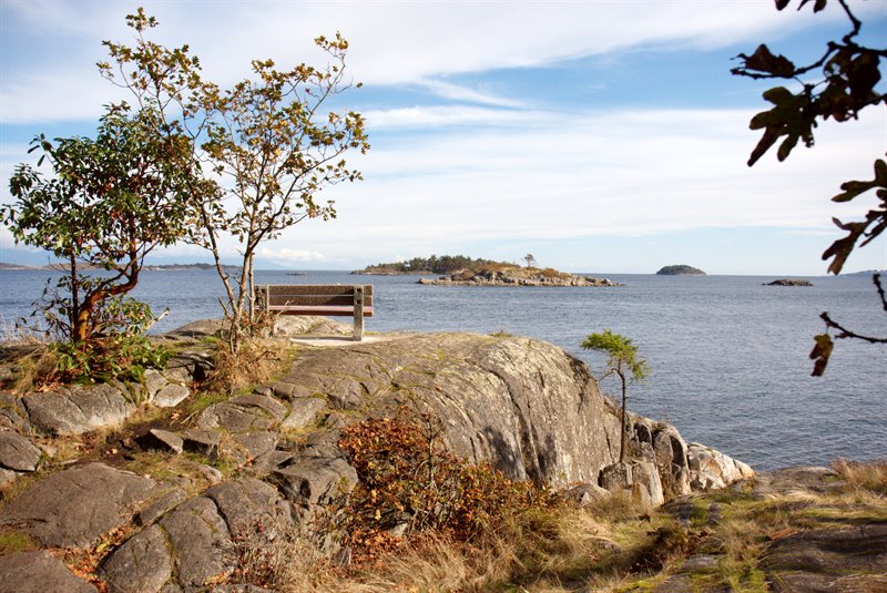 Beautiful Local Beaches Nearby