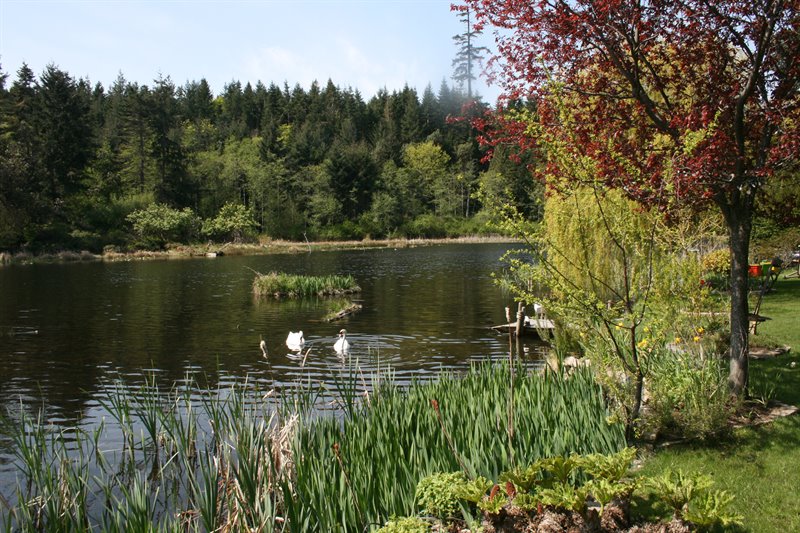 Close to Fairwinds Trail System