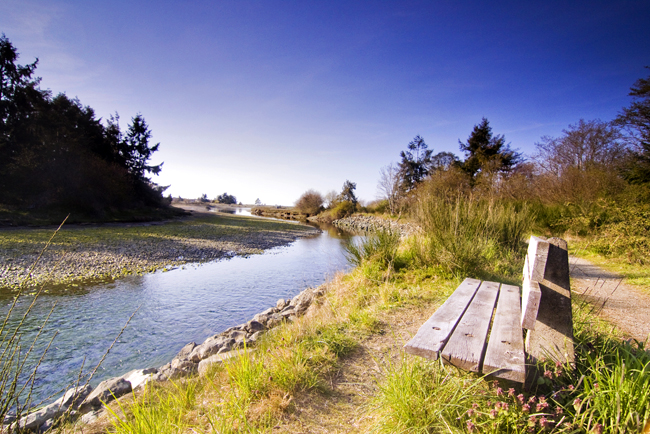 Walk to the Englishman River Estuary