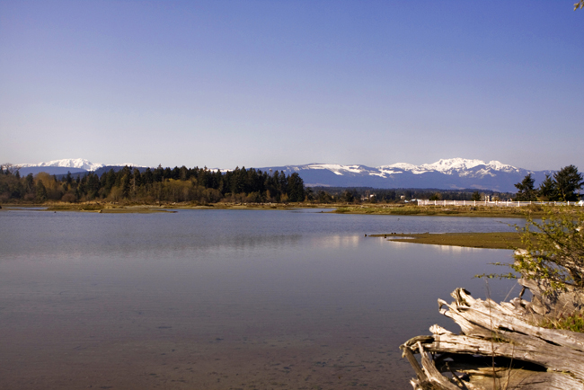 Walk to the Englishman River Estuary