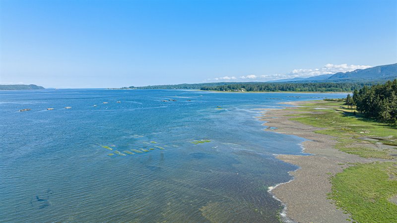 Aerial Overview