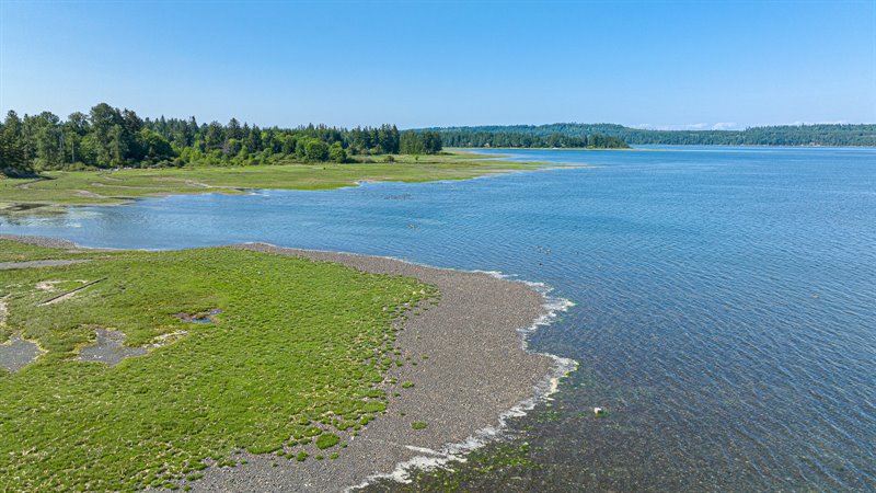 Aerial Overview