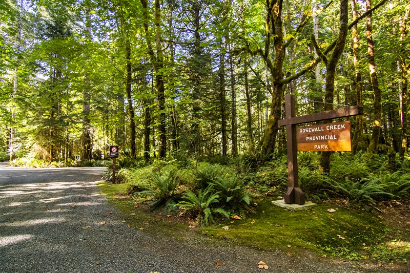 Easy Access to Outdoor Activities