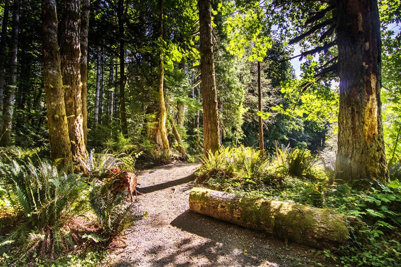 Easy Access to Outdoor Activities