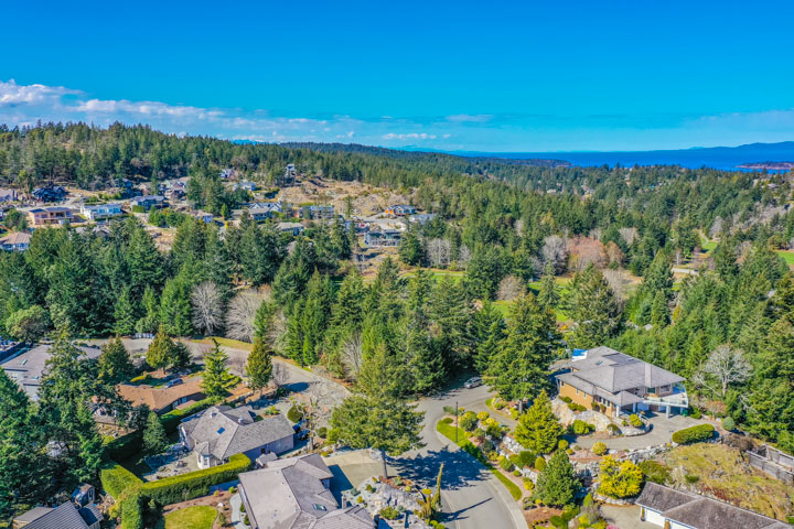 Aerial Overview