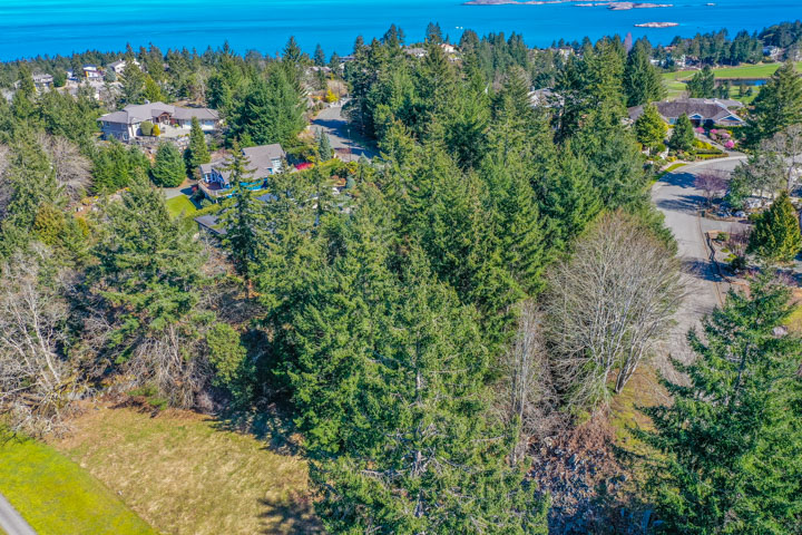 Aerial Overview