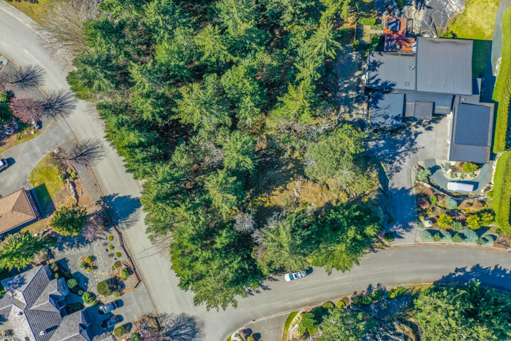 Aerial Overview