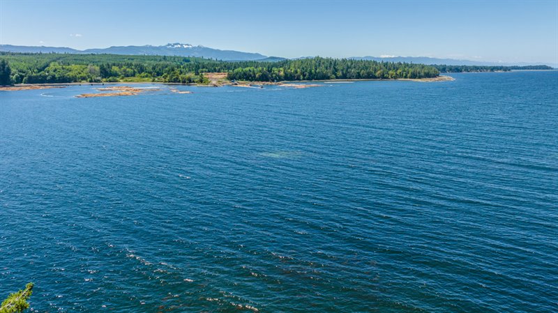 Aerial Overview