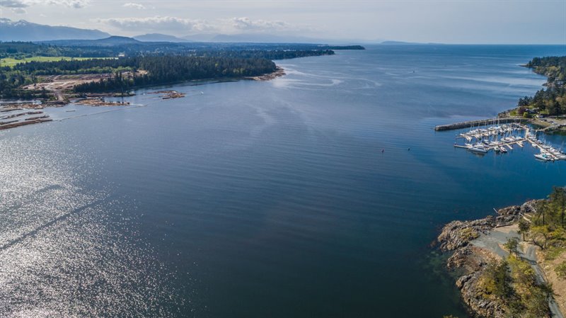 Aerial Overview