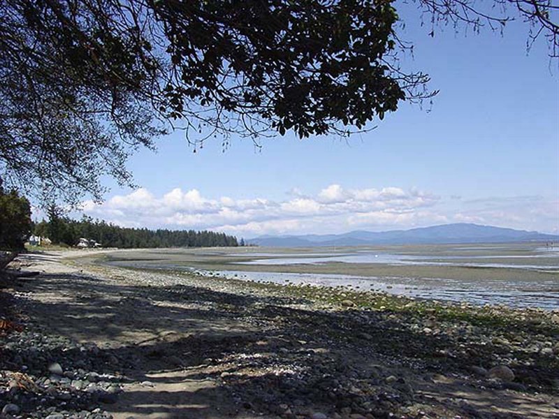 Walk to the Beach