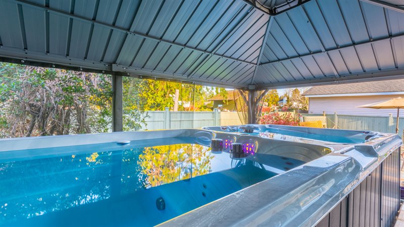 Swim Spa