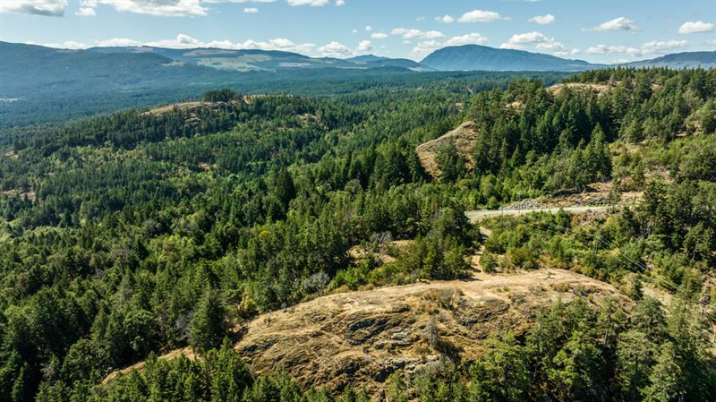 Area Overview
