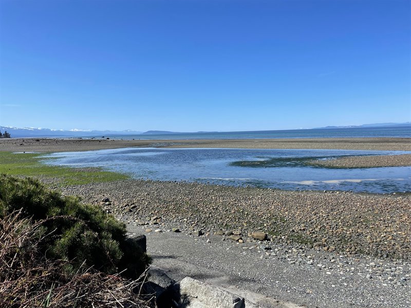 Pebble Beach