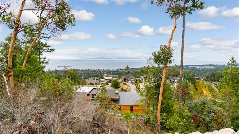 Lot View