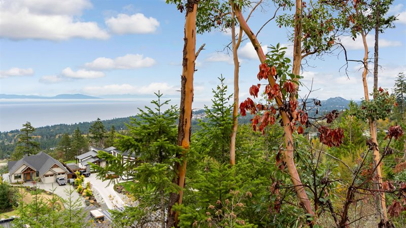 Lot View