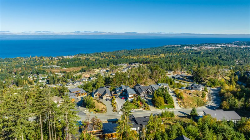 Area Overview