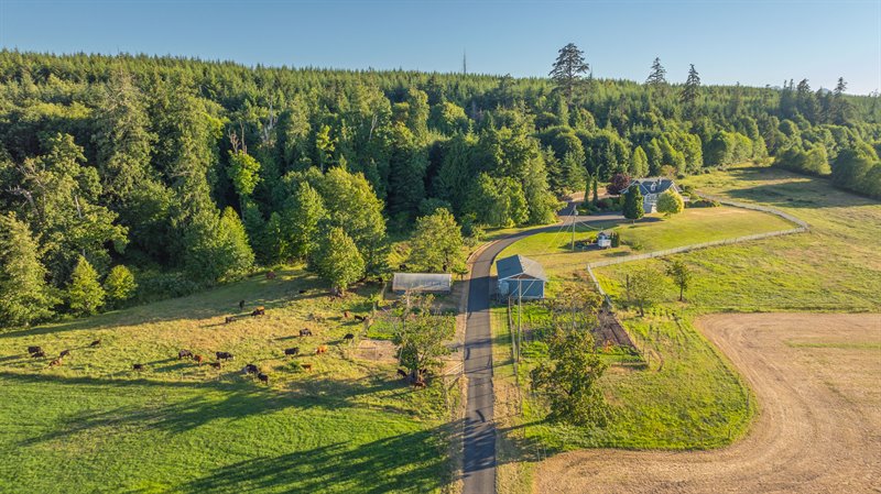 Aerial Overview