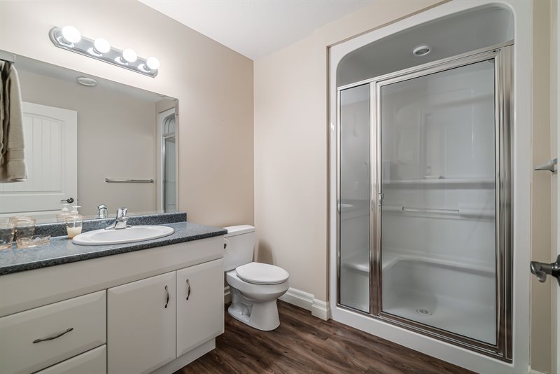 Lower Level - Bath