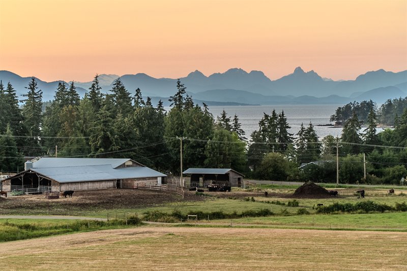 Acreage