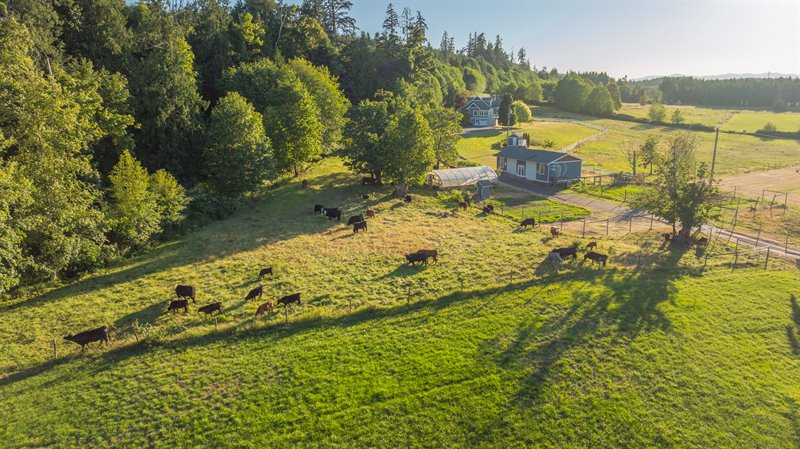 Aerial Overview