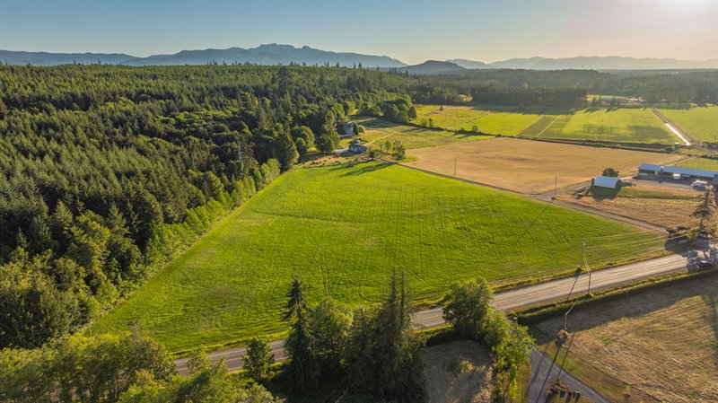 Aerial Overview
