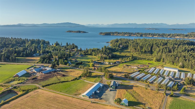 Aerial Overview