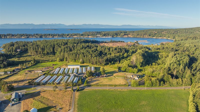 Aerial Overview