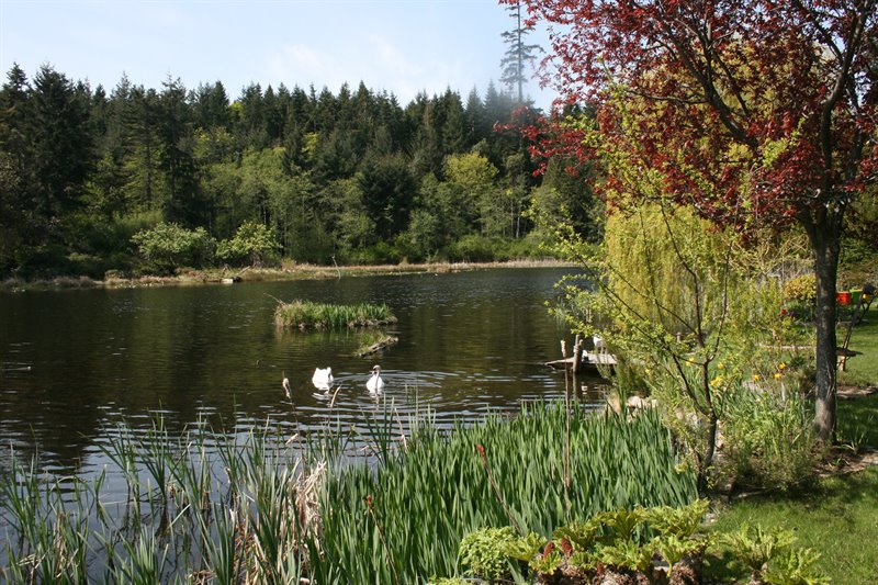 Close to Fairwinds Trail System