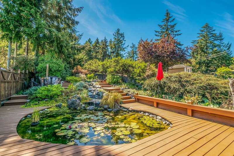 Front Deck & Pond