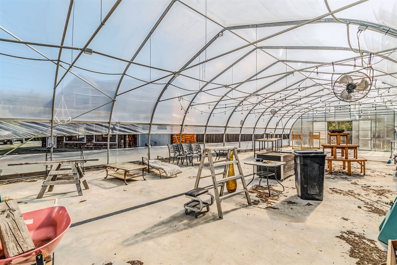 Greenhouse