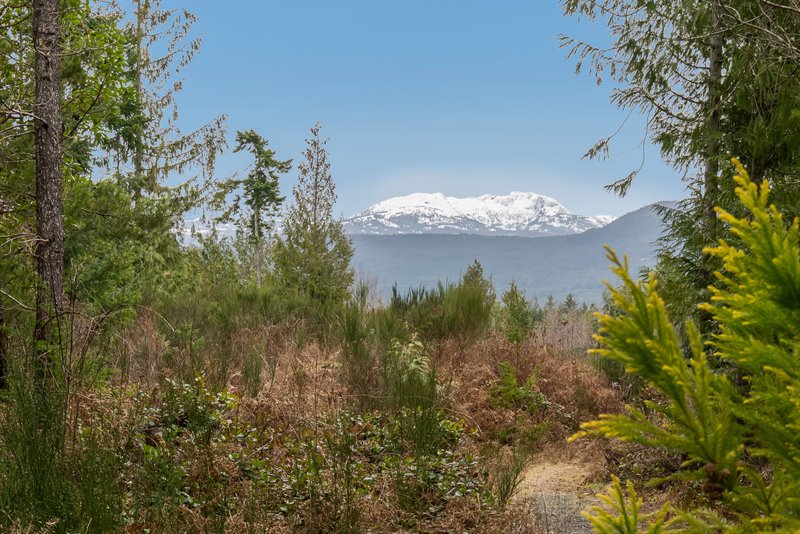 Acreage - Spider Lake Rd Section