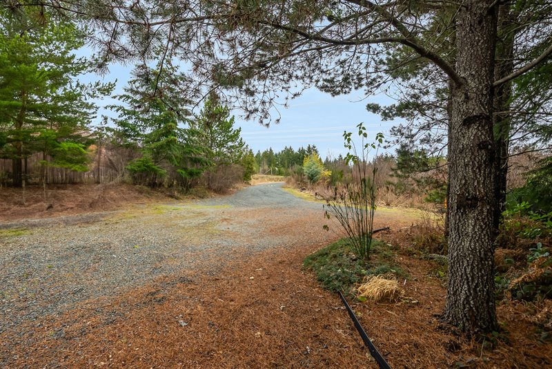 Acreage - Blacktail Rd Section