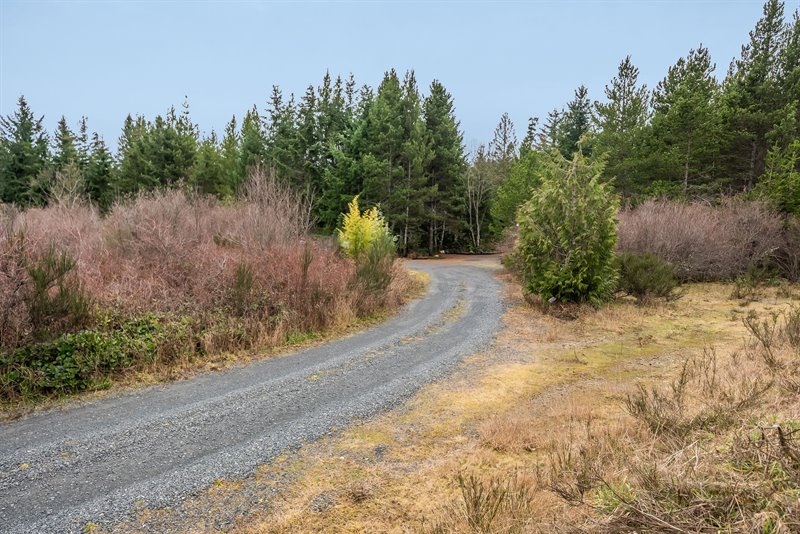 Acreage - Blacktail Rd Section