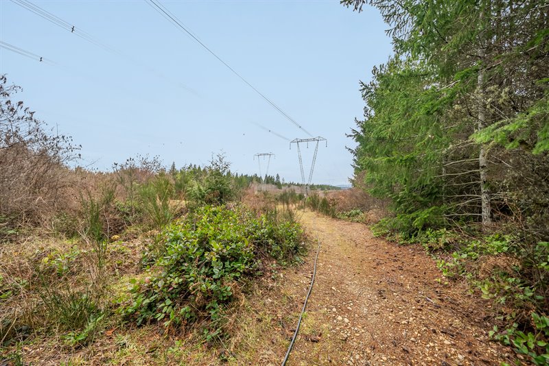 Acreage - Blacktail Rd Section
