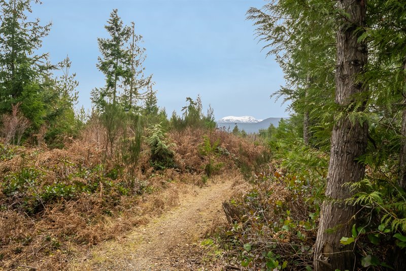Acreage - Blacktail Rd Section