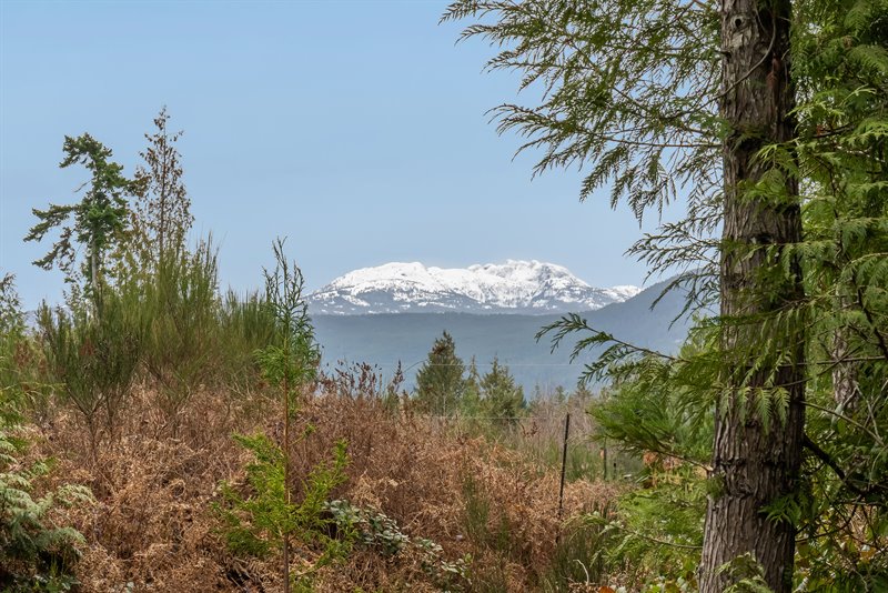 Acreage - Blacktail Rd Section