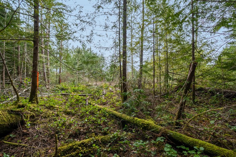 Acreage - Krupek Rd Section