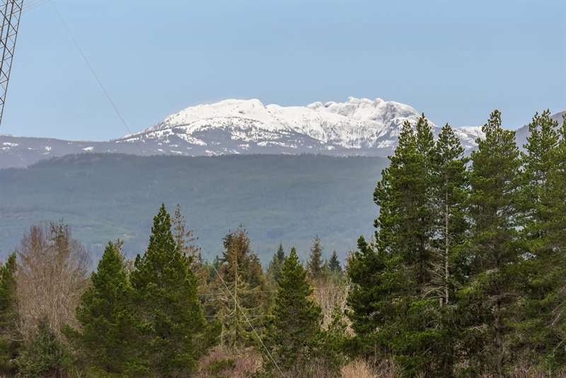 Acreage - Spider Lake Rd Section