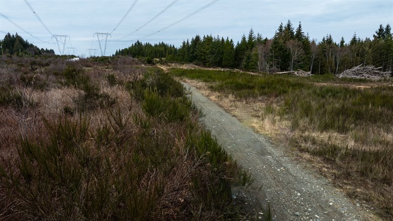 Aerial Overview - Spider Lake Rd Section