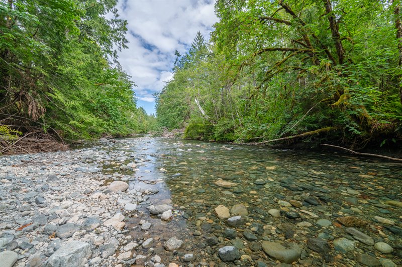 Close to the Little Qualicum River