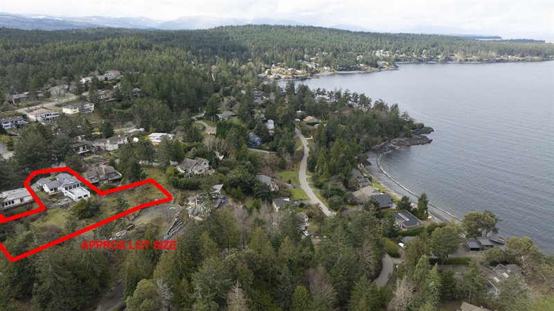 Aerial Overview