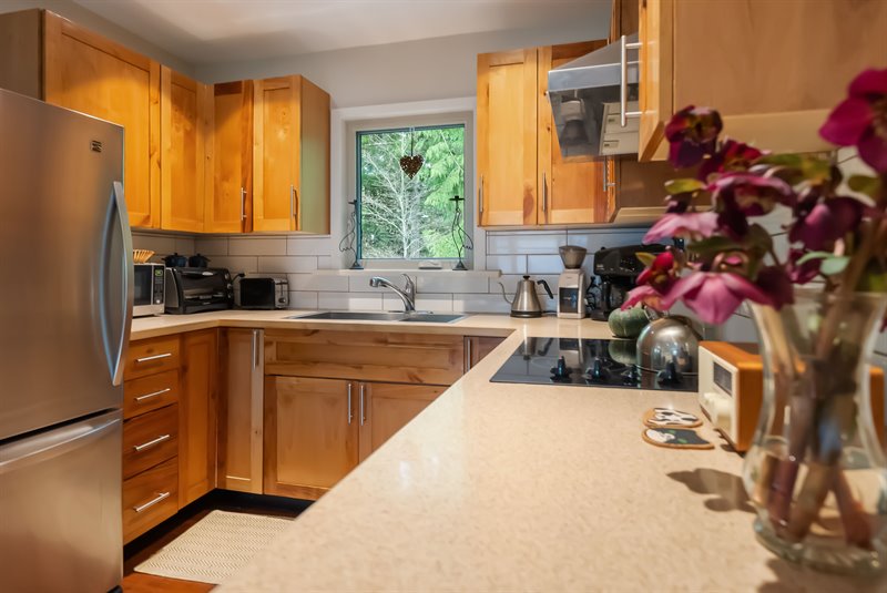 Guest Suite - Kitchen