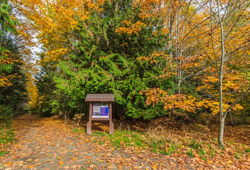 Trail to the Englishman River Estuary