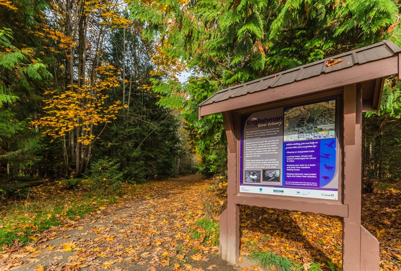 Trail to the Englishman River Estuary