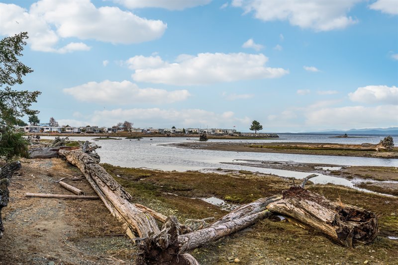 Englishman River Estuary